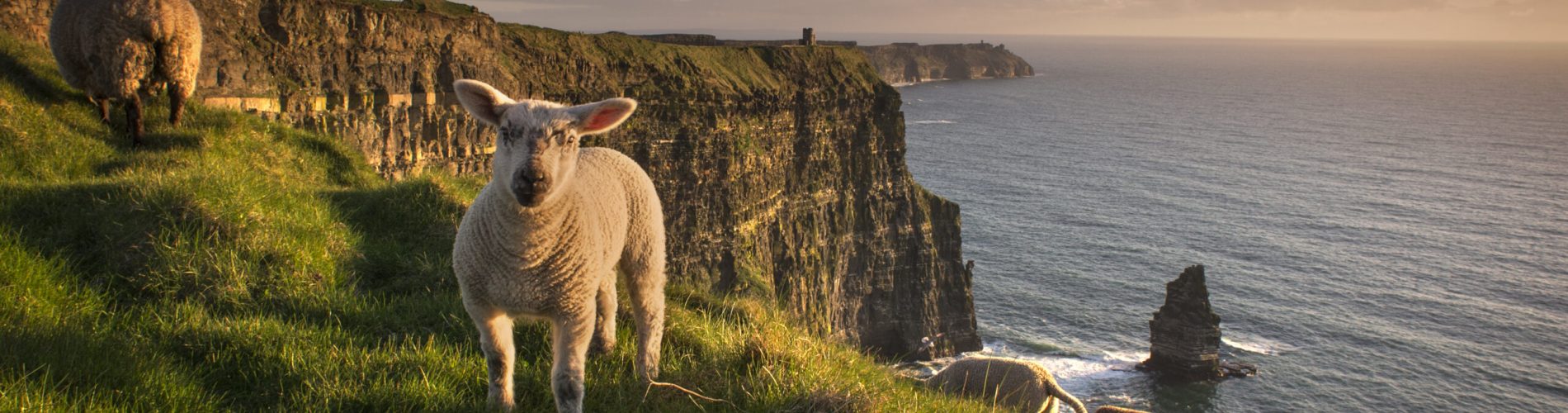Discover Ireland
