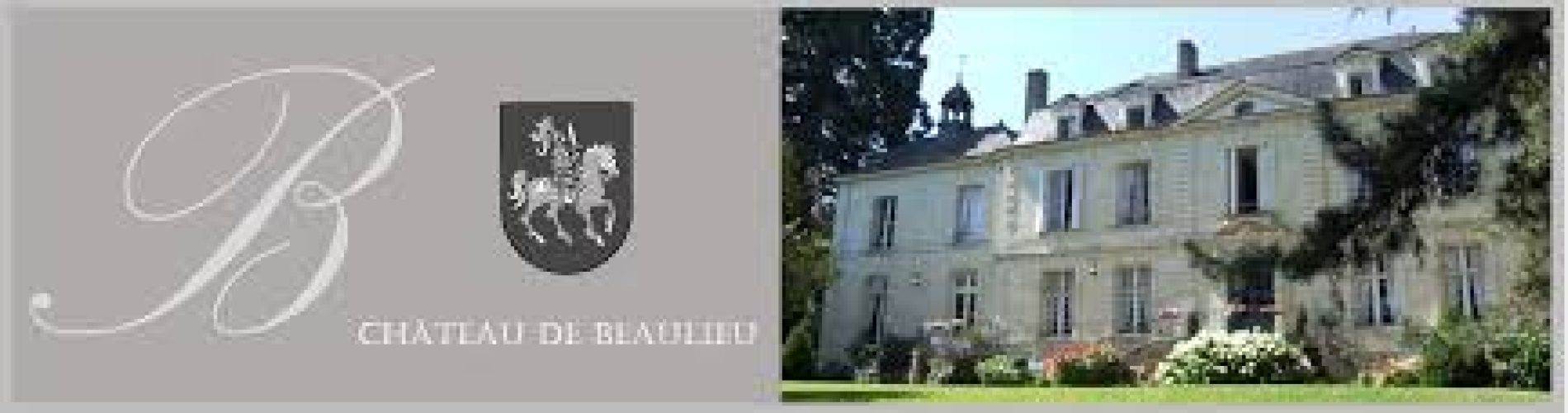 Mna_Partner_Chateau.banner